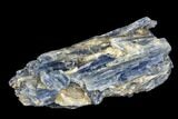 Vibrant Blue Kyanite Crystal Cluster - Brazil #113475-1